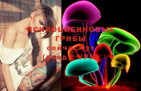 МДПВ Алексин