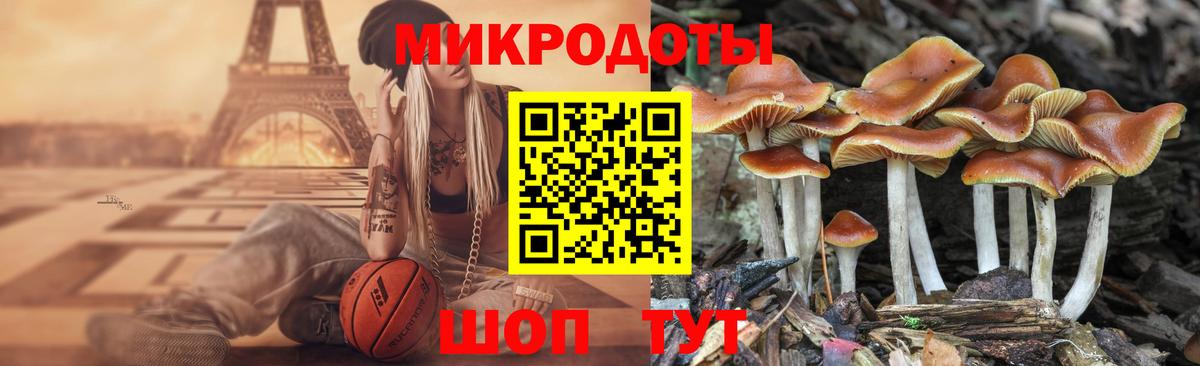 Галлюциногенные грибы мицелий  Галлюциногенные грибы Psilocybine cubensis  Пермь  Вход с VPN 